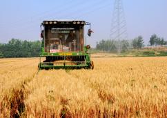  ��е�ո�С�󼴾�