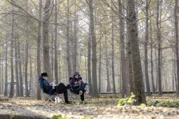 ����˼����Խ�����뷱�ӡ�