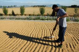 ��ɹ�ջ��С��