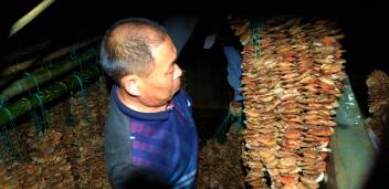 �ȱ�������������