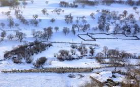 ����Ĺ���