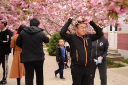 ӣ������������