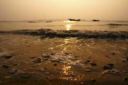 ��馲����尶������