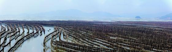 ����֮��