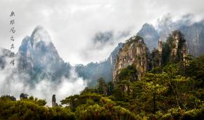 ���޷�����շ�.