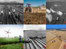 ��Ҹ���������(���գ�