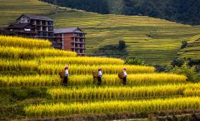  �չ�����