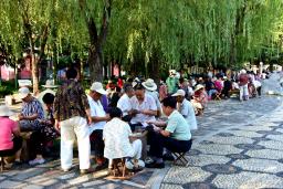 ��������