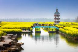  �ֵ��ƻ�ʢ��ʱ