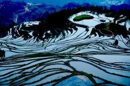 ���Ϸ���