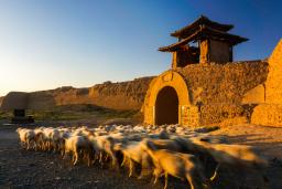 �������