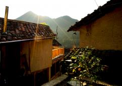 ���Ϸ���