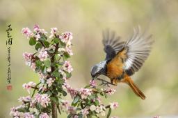 ������ͼ��