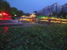 ��Ȫ��ҹ��1