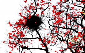 ���������黭�⡷��ɽ���������ӹ�һƳ��