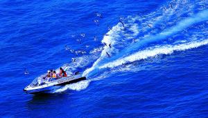 ��ӵ��ε������ɽ���ٳɺ�¿����