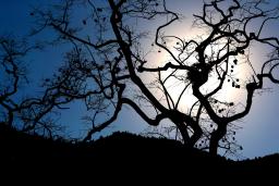 ���趯��񷡷������ɽ���������ӹ���