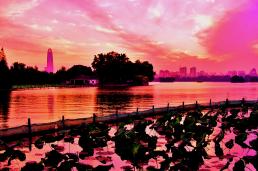 ���������ϡ�