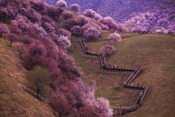 �½������¶����ӻ���