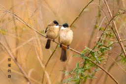 ���۵���