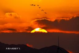 �������ϼ���