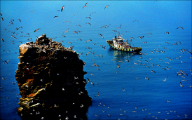 ����ɫ��԰����ɽ�������񵺣�