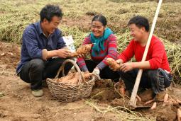 ��ǵ�ͷ������