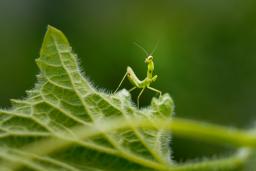 СС������