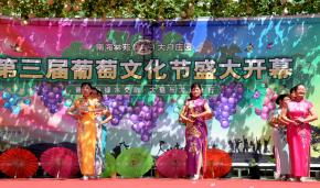 ��ׯ԰�ڶ��������Ļ���