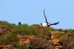 ����ĺ���