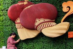 6������ϸ��