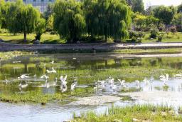 ���ذ��ع�