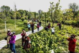 ���۽���