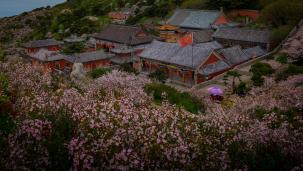 ���Ǻ���Ʈ��ϼ