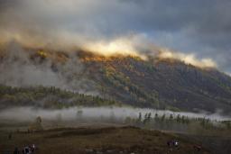 ��ľ����