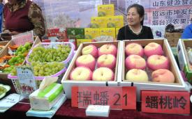 ���������������õ����ҷ�����