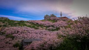 ɽ������Ƭ���Ļ�