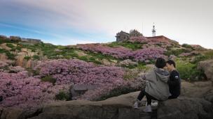 ����ʱ��1