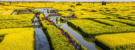 ϣ������Ұ