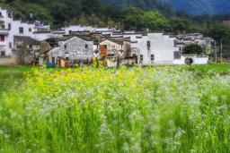 5��ɽ����ɫ