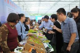 ���׽�ũ���