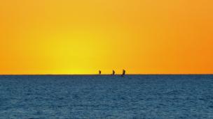 �﷫��һ��һ·��