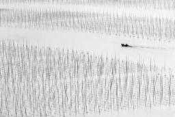 6��һҶ����