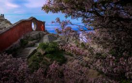 ����ʱ��2