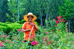 �Ͷ��ߵ�Ц��