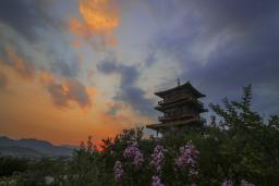 ��ϼϦ������ͤ