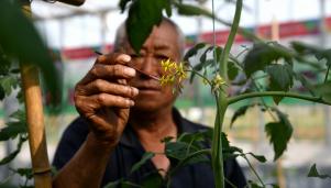 ũҵ�Ƽ����ڽ����������˹��ڷ�