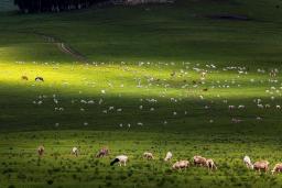 7����ԭ֮��