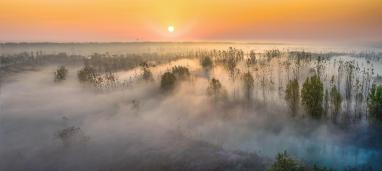 ΢ɽ��ʪ�س���