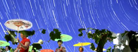 ���Ѽ���������